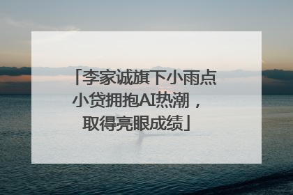 李家诚旗下小雨点小贷拥抱AI热潮，取得亮眼成绩