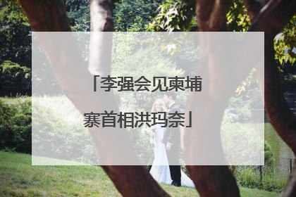 李强会见柬埔寨首相洪玛奈
