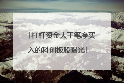 杠杆资金大手笔净买入的科创板股曝光
