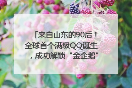 来自山东的90后！全球首个满级QQ诞生，成功解锁“金企鹅”，是继承父亲账号