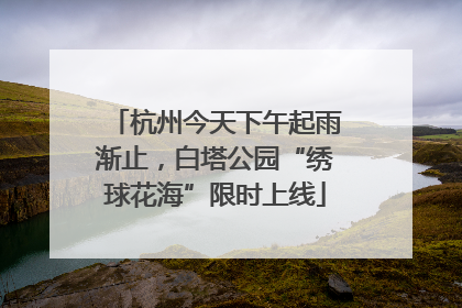 杭州今天下午起雨渐止，白塔公园“绣球花海”限时上线