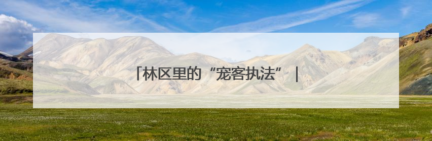 林区里的“宠客执法”｜湖北市场监管所的故事
