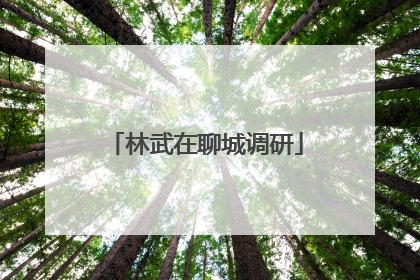 林武在聊城调研