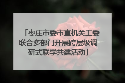 枣庄市委市直机关工委联合多部门开展跨层级调研式联学共建活动