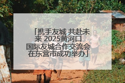 携手友城 共赴未来 2025黄河口国际友城合作交流会在东营市成功举办