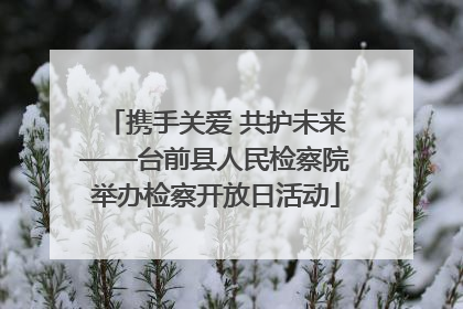 携手关爱 共护未来——台前县人民检察院举办检察开放日活动