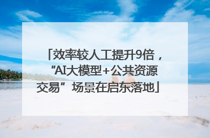 效率较人工提升9倍，“AI大模型+公共资源交易”场景在启东落地
