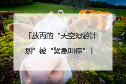 敖丙的“天空漫游计划”被“紧急叫停”