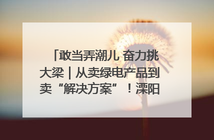 敢当弄潮儿 奋力挑大梁｜从卖绿电产品到卖“解决方案”！溧阳立足产业优势建成五大微电网示范项目