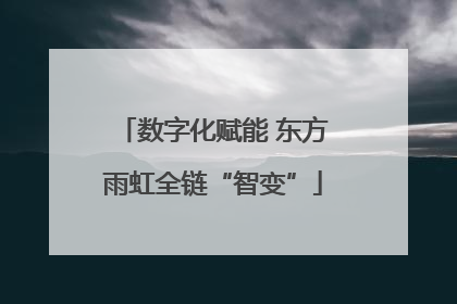 数字化赋能 东方雨虹全链“智变”