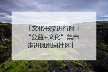 文化书院进行时丨“公益+文化”集市走进凤凰园社区