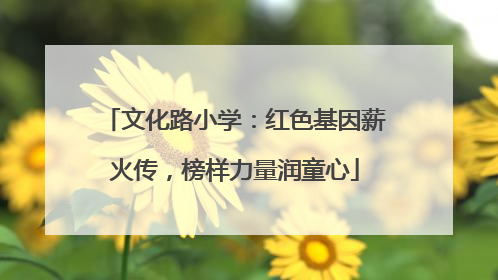 文化路小学：红色基因薪火传，榜样力量润童心