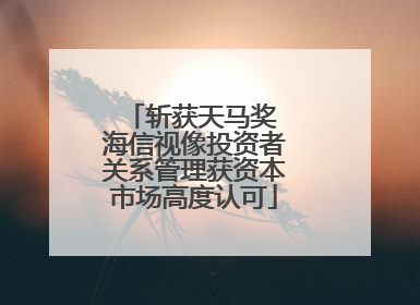 斩获天马奖 海信视像投资者关系管理获资本市场高度认可