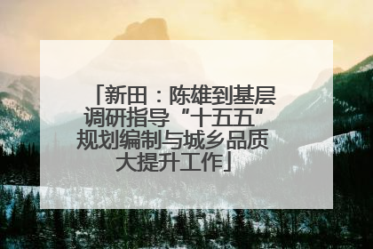 新田：陈雄到基层调研指导“十五五”规划编制与城乡品质大提升工作
