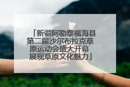 新疆阿勒泰福海县第二届沙尔布拉克草原运动会盛大开幕 展现草原文化魅力