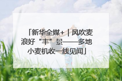 新华全媒+｜风吹麦浪好“丰”景——多地小麦机收一线见闻