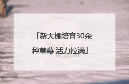 新大棚培育30余种草莓 活力拉满