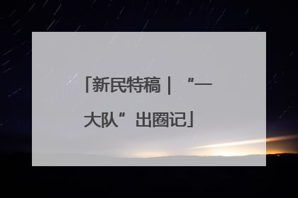 新民特稿｜“一大队”出圈记