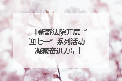 新野法院开展“迎七一”系列活动 凝聚奋进力量