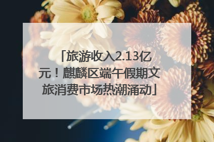 旅游收入2.13亿元！麒麟区端午假期文旅消费市场热潮涌动