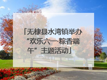 无棣县水湾镇举办“欢乐六一·粽香端午”主题活动