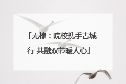 无棣：院校携手古城行 共融双节暖人心