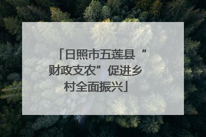日照市五莲县“财政支农”促进乡村全面振兴