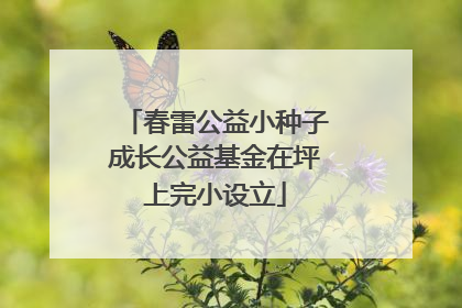 春雷公益小种子成长公益基金在坪上完小设立