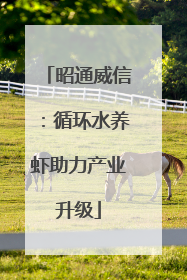 昭通威信：循环水养虾助力产业升级