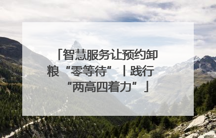 智慧服务让预约卸粮“零等待”丨践行“两高四着力”