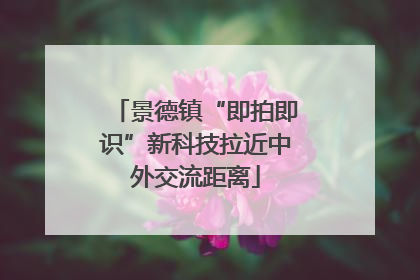 景德镇“即拍即识”新科技拉近中外交流距离