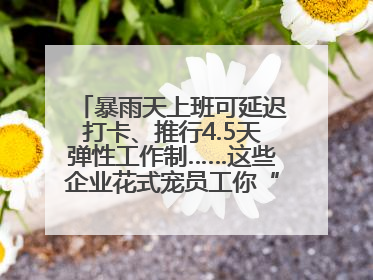 暴雨天上班可延迟打卡、推行4.5天弹性工作制……这些企业花式宠员工你“慕”了吗？