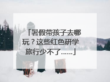 暑假带孩子去哪玩？这些红色研学旅行少不了……