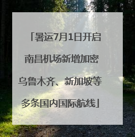 暑运7月1日开启 南昌机场新增加密乌鲁木齐、新加坡等多条国内国际航线