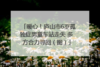 暖心！庐山市6岁孤独症男童车站走失 多方合力寻回（图）