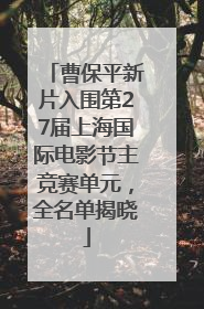 曹保平新片入围第27届上海国际电影节主竞赛单元，全名单揭晓