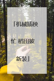 机械插秧忙 稻田披新装