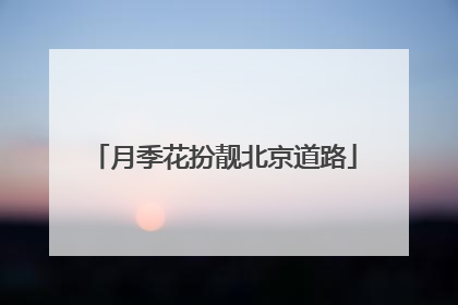 月季花扮靓北京道路
