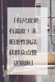 有尺度更有温度！耒阳柔性执法获群众点赞送锦旗