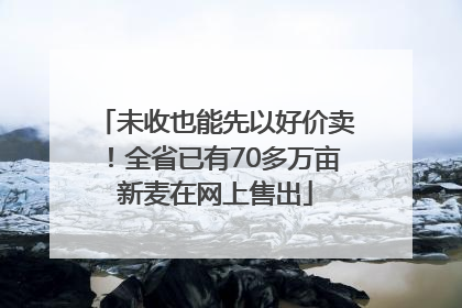 未收也能先以好价卖！全省已有70多万亩新麦在网上售出