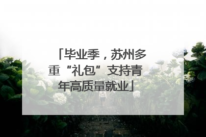 毕业季，苏州多重“礼包”支持青年高质量就业