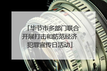 毕节市多部门联合开展打击和防范经济犯罪宣传日活动