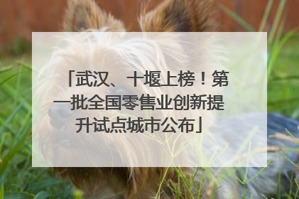 武汉、十堰上榜！第一批全国零售业创新提升试点城市公布
