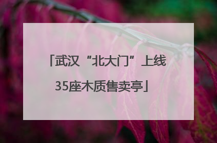 武汉“北大门”上线35座木质售卖亭