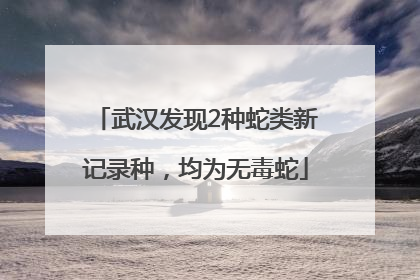 武汉发现2种蛇类新记录种，均为无毒蛇