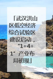 武汉洪山区低空经济综合试验区建设启动，“1+4+1”产业布局初现