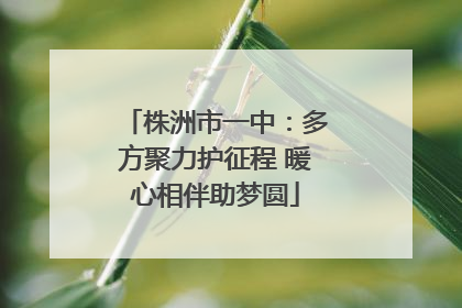 株洲市一中：多方聚力护征程 暖心相伴助梦圆