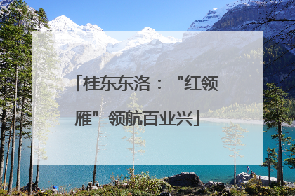 桂东东洛：“红领雁”领航百业兴