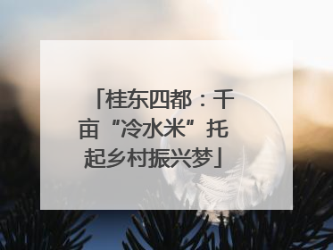 桂东四都：千亩“冷水米”托起乡村振兴梦