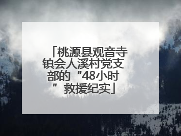 桃源县观音寺镇会人溪村党支部的“48小时”救援纪实